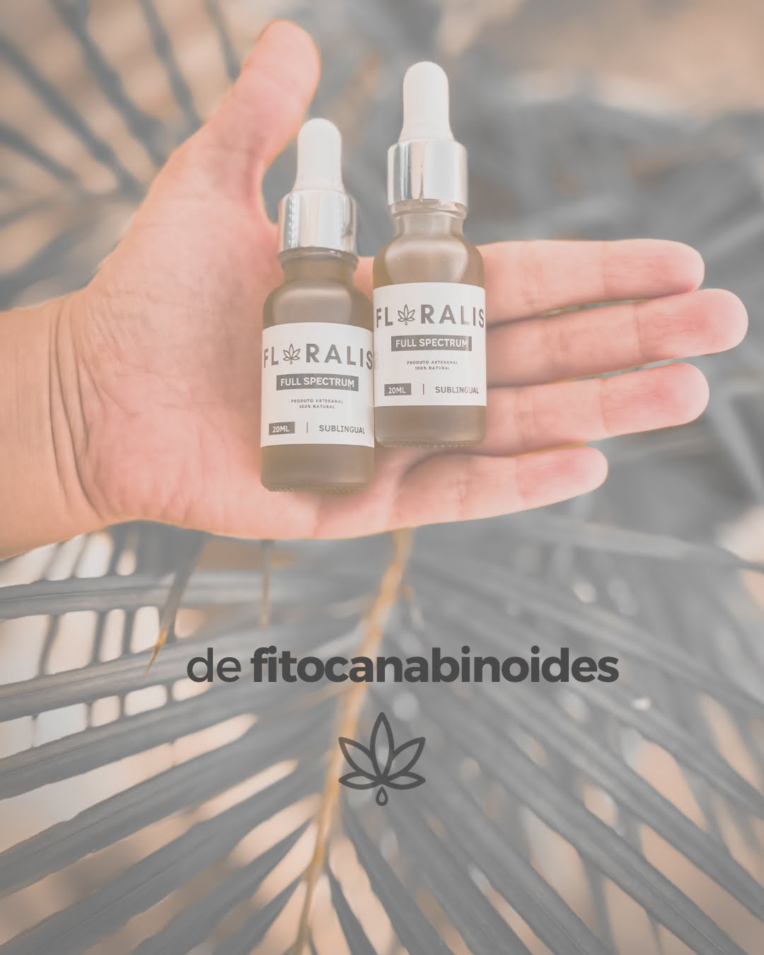 1 fitocanabinoides